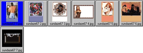 sundaze67 thumbnails.jpg (25598 bytes)